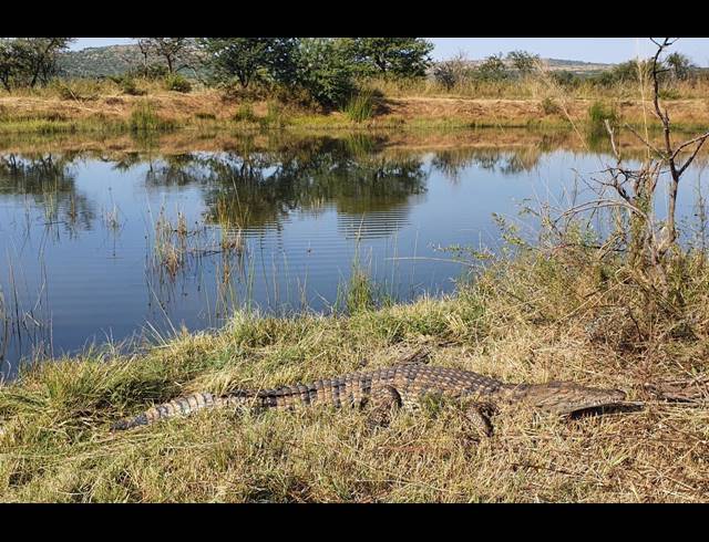 20,000,000M² FARM FOR SALE IN ESTCOURT RURAL